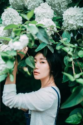 高清DVD碟片收藏指南：日韩欧美影片资源哪里找？