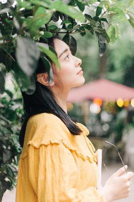 免费高清资源大全？3年积累！500+章精彩内容震撼来袭！